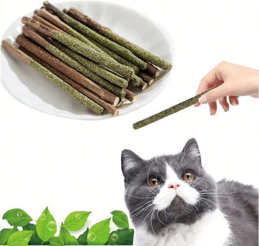 Maiguangta Natural Silvervine Catnip Chew Sticks (12 PC) - Edible Dental Chews For Cats &Amp; Kittens, Teething Relief Teeth Cleaning Toys