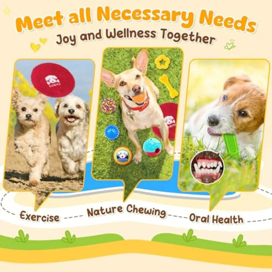 25 Pack Various Dog Toys Set Ideal for Teething, Entertainment and Interactive Play