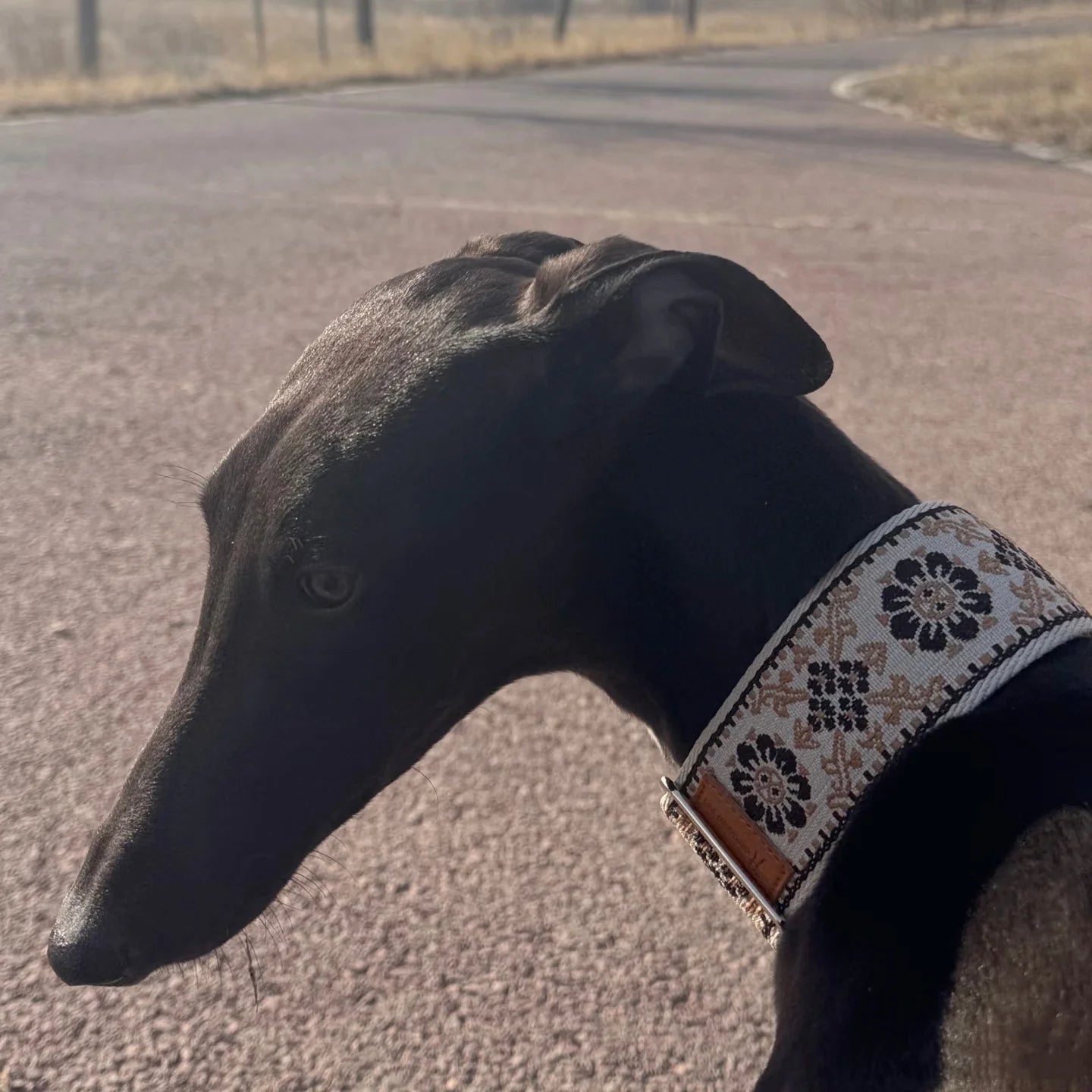 Soft Comfortable Adjustable Collar