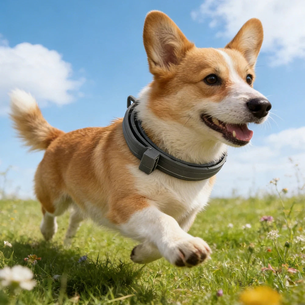 Flea Collar Adjustable Flea and Tick Collar 8 Months Protection Natural Flea and Tick Prevention Collar for Dogs and Cats