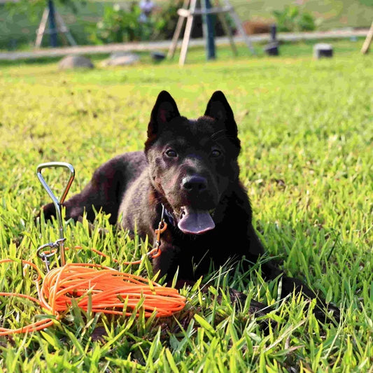 30FT Heavy Duty Dog Tie Out Cable with Ground Stake