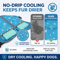 Load image into Gallery viewer, Pet Dog Cooling Vest Harness Cooler Jacket For Walking Dog Outdoor Camping Hunting Training Refrigerator Cooling Source For Dogs
