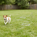Load image into Gallery viewer, Hot Selling Reflective Vinyl Tie Out Cable for Dogs 40 ft Heavy Duty Outdoor Pet Safety Leash
