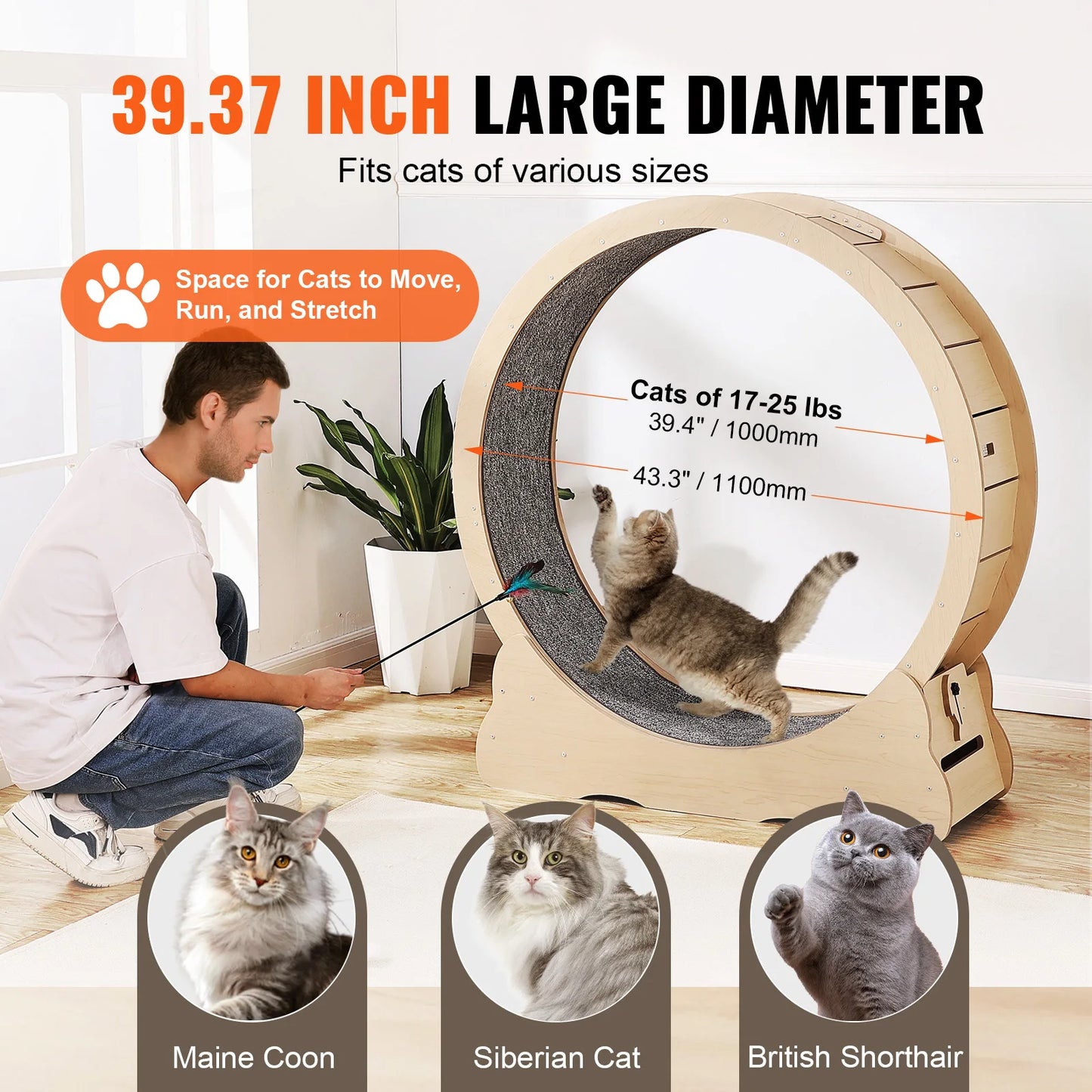 Wooden Cat Exercise Wheel for Indoor Cats of All Sizes