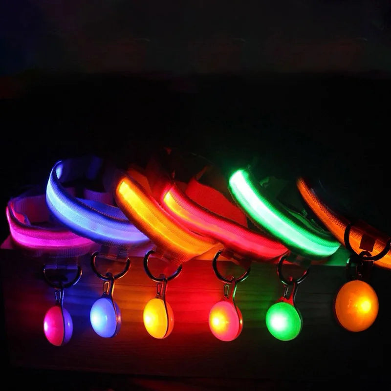 USB Charging Glowing Dog Collar With  battery