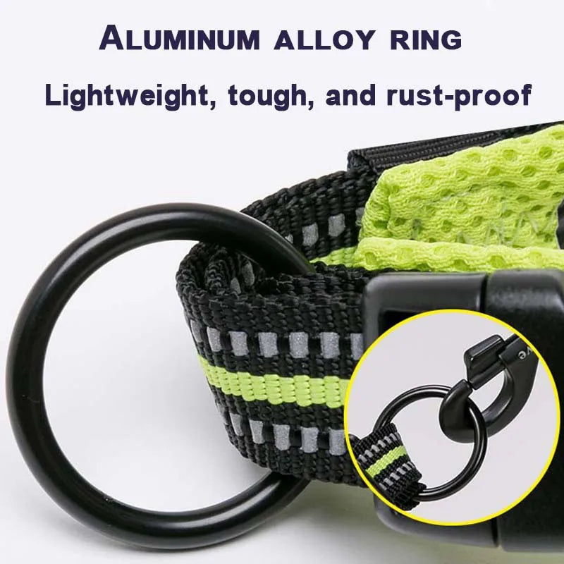 Winhyepet Dog Walking Collar Comfort Padded with Buckle