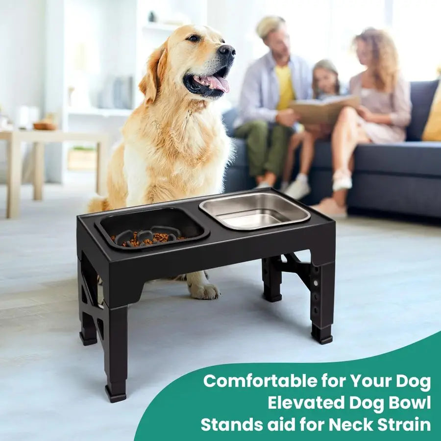 Raised Dog Bowls that Adjusts to 5 Heights