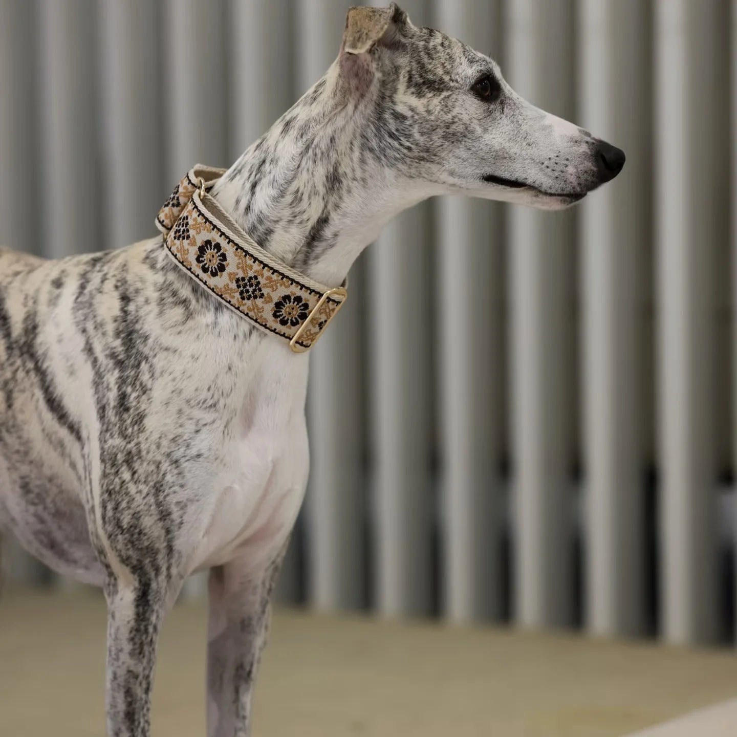 Soft Comfortable Adjustable Collar