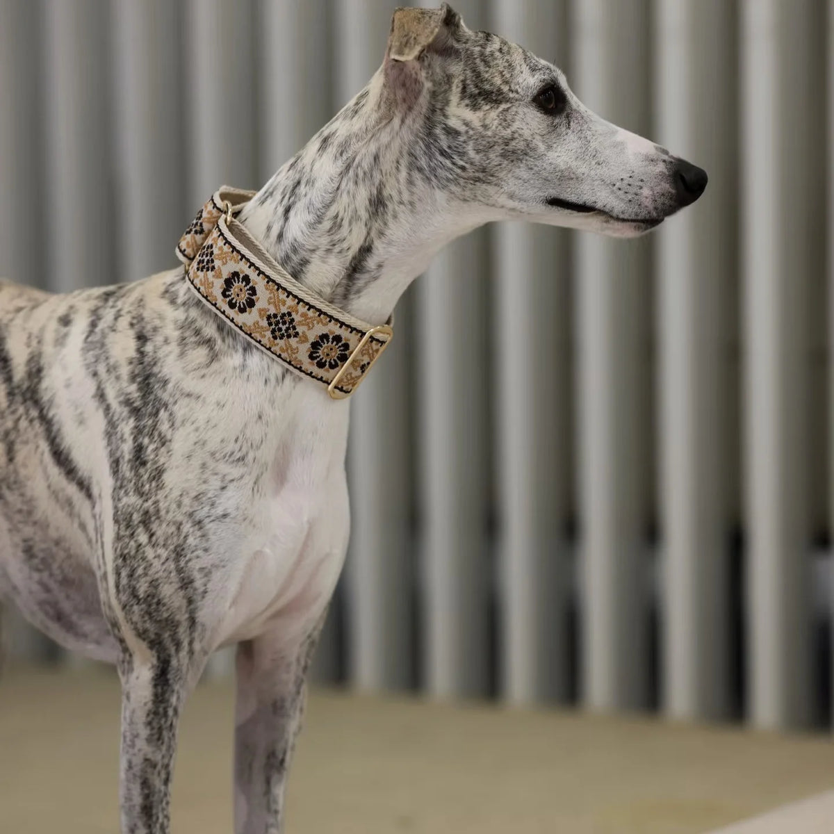 Soft Comfortable Adjustable Collar
