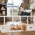 Load image into Gallery viewer, Clear Acrylic Dog Playpen, 10 Panels, Indoor Pet Fence for Puppy, Cat, Rabbit, Small Animals, Safe & Easy Assembly
