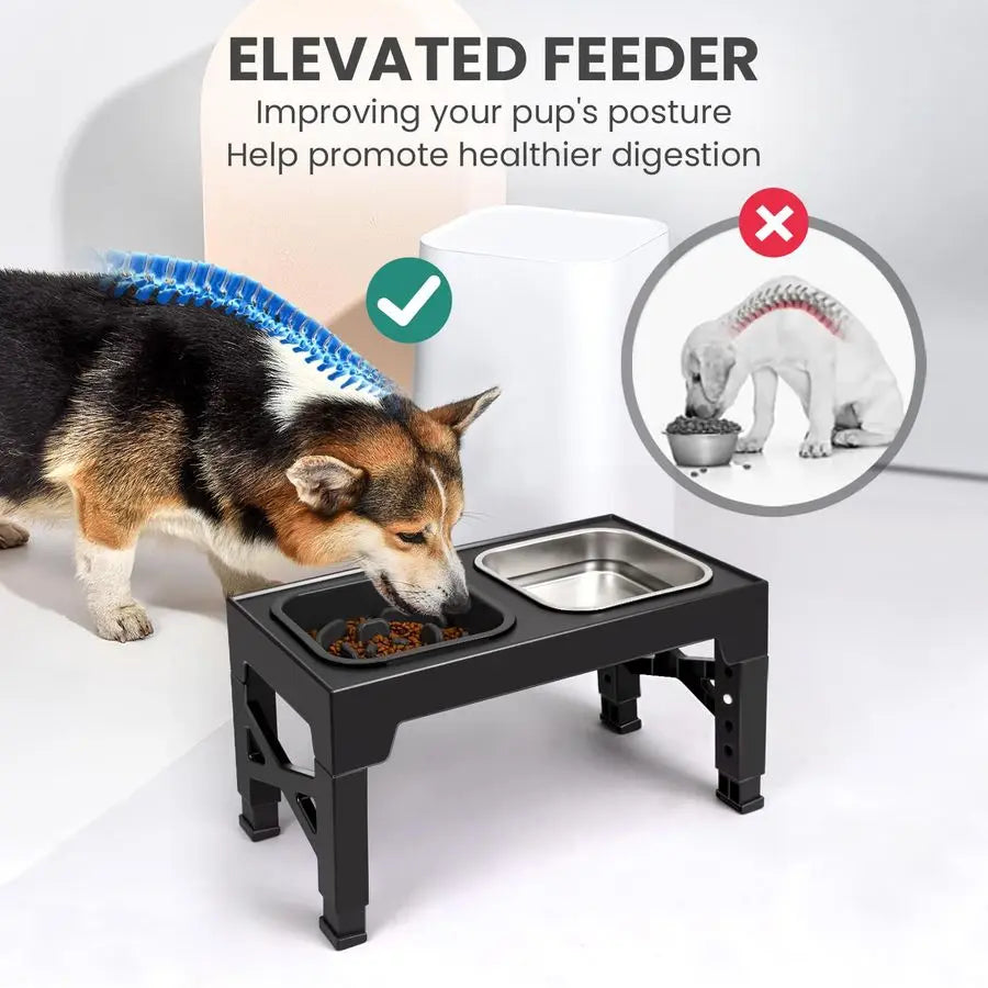 Raised Dog Bowls that Adjusts to 5 Heights