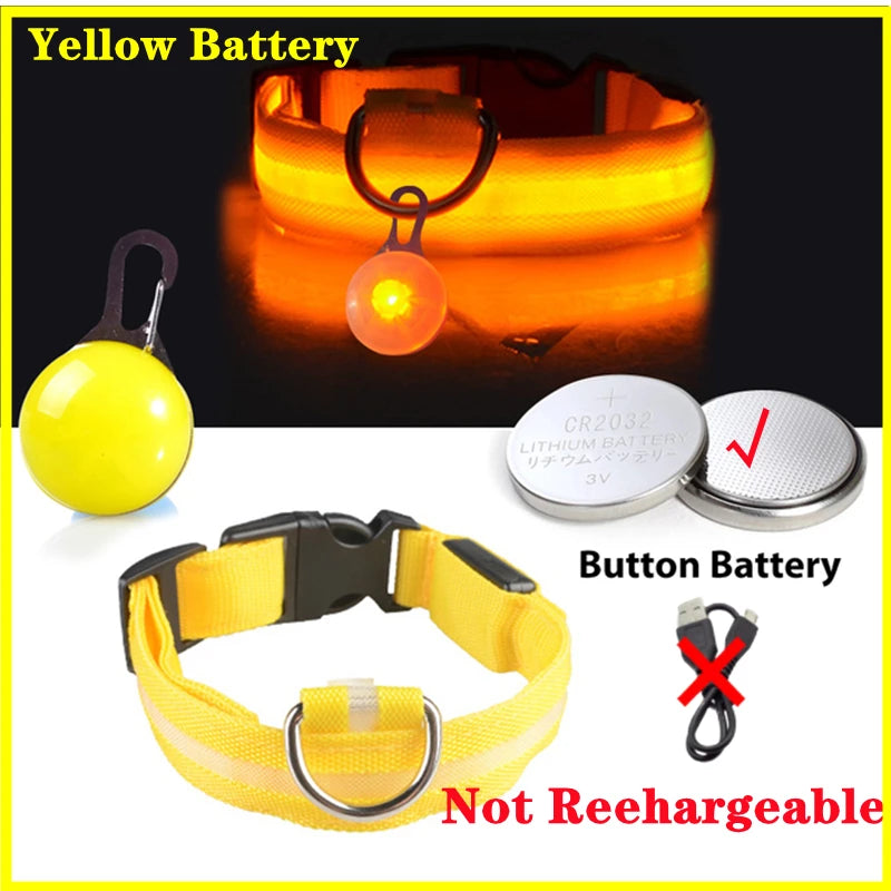 USB Charging Glowing Dog Collar With Pendant