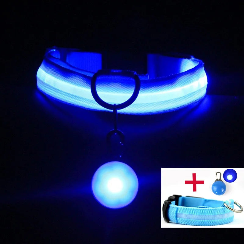 USB Charging Glowing Dog Collar With  battery