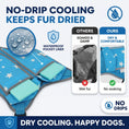 Load image into Gallery viewer, Pet Dog Cooling Vest Harness Cooler Jacket For Walking Dog Outdoor Camping Hunting Training Refrigerator Cooling Source For Dogs
