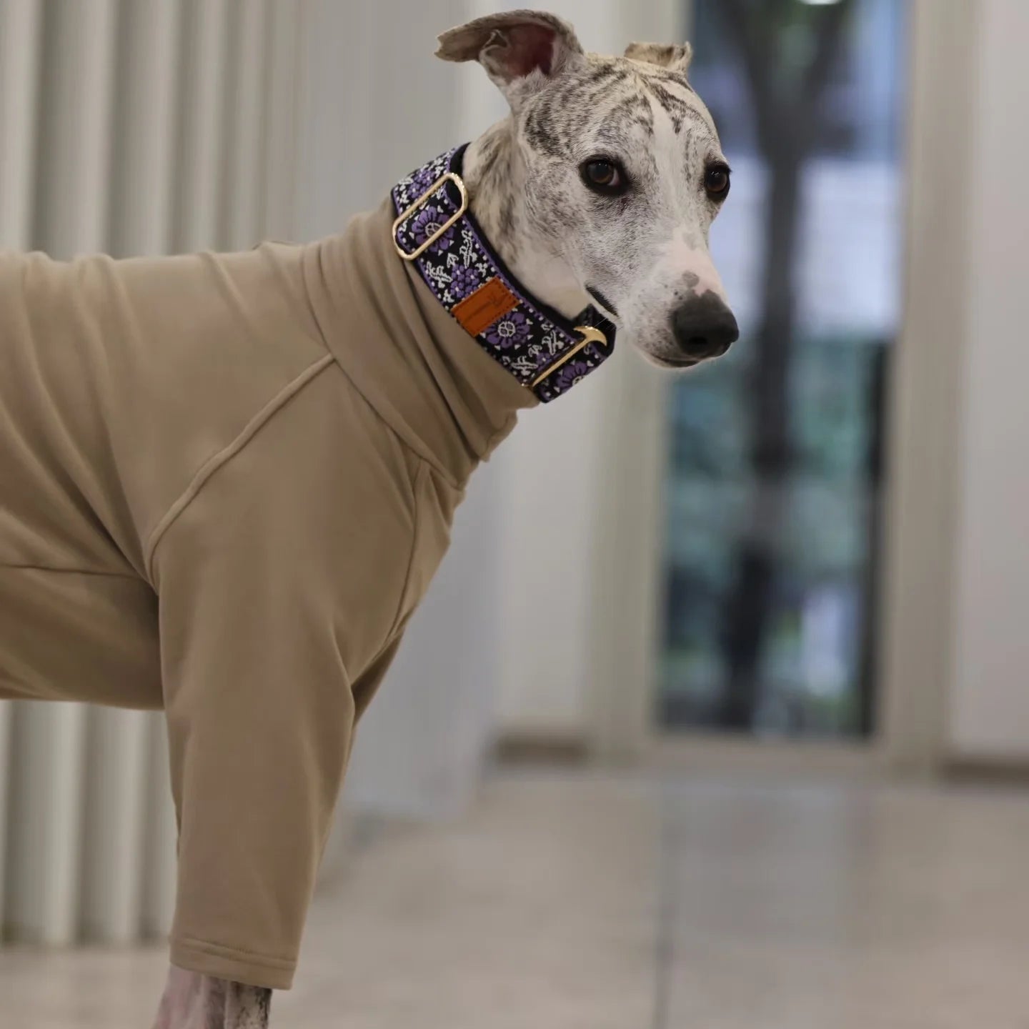 Soft Comfortable Adjustable Collar
