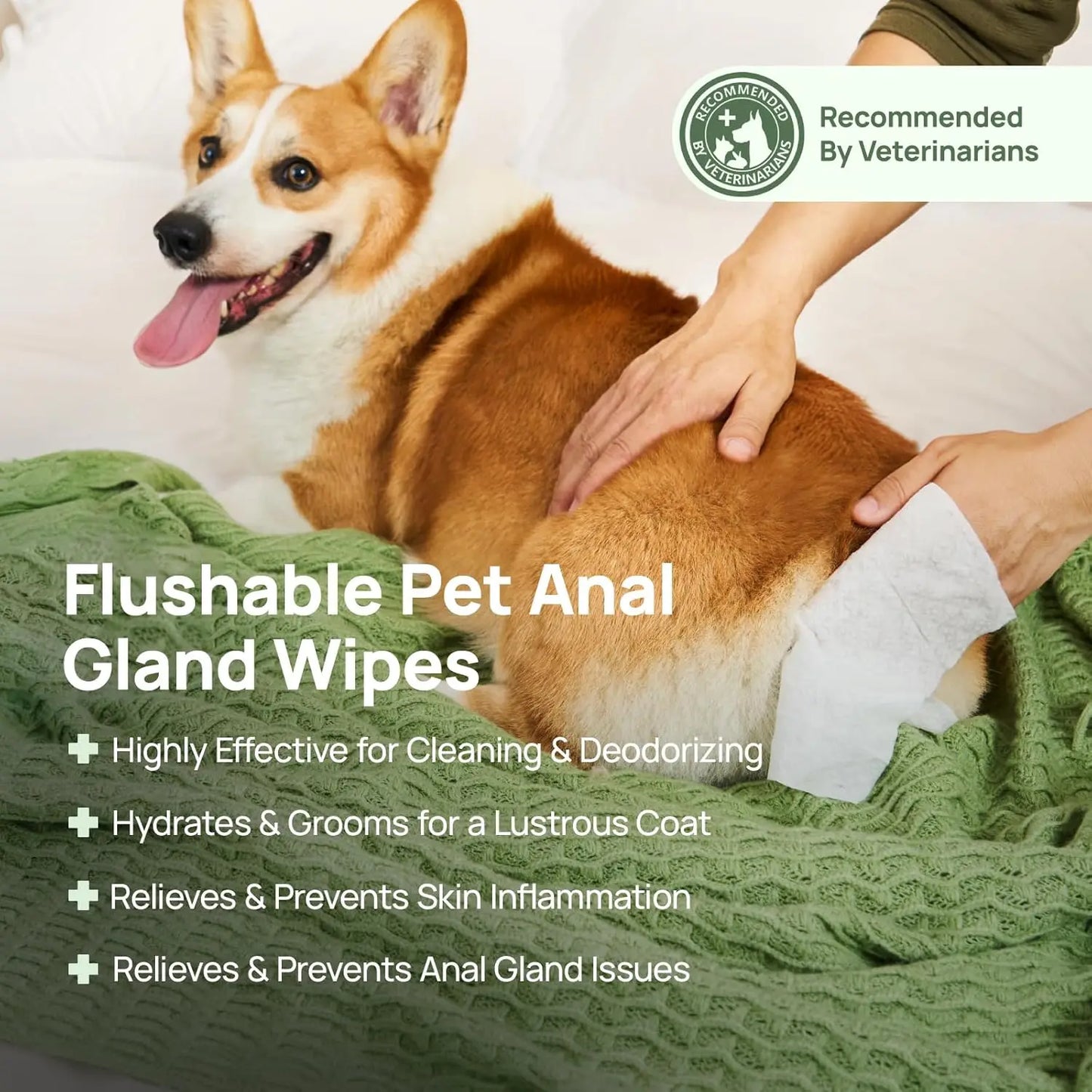Pet Wipes for Dogs & Cats, Vet Recommended, Hypoallergenic Cleaning Wipes for Paw, Butt, Body, Soothing Allergy & Anal Gland Care, Deodorizing & Nourishing Fur Grooming