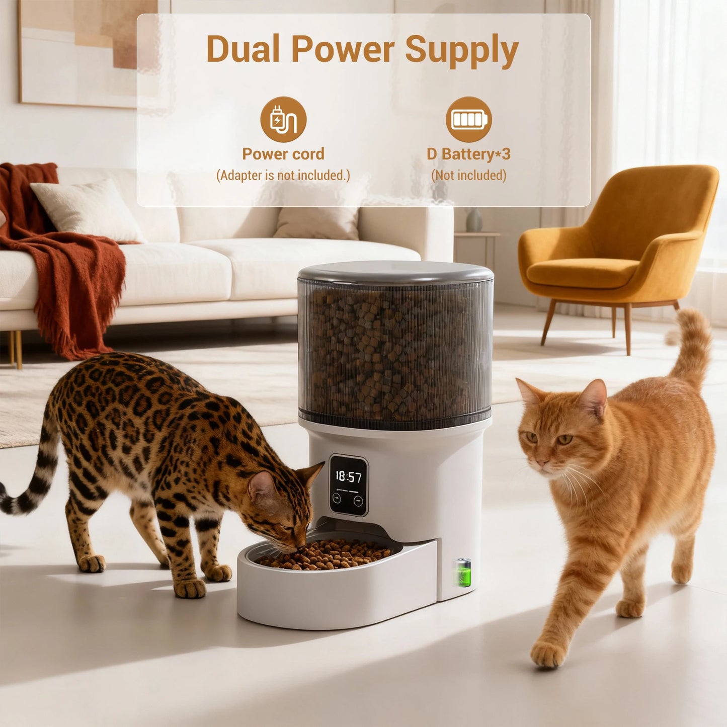 Programmable 4L Automatic Pet Feeder for Small Dogs & Cats