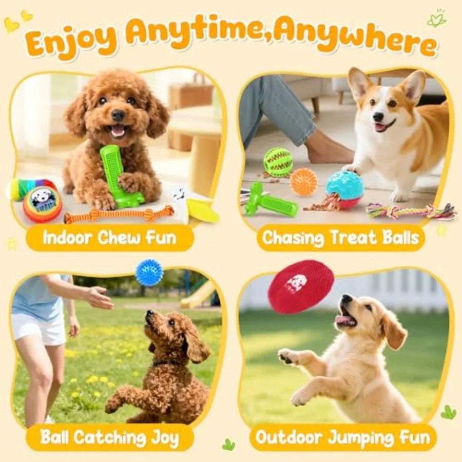 25 Pack Various Dog Toys Set Ideal for Teething, Entertainment and Interactive Play