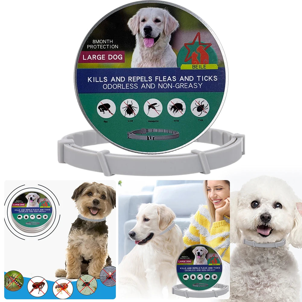 Flea Collar Adjustable Flea and Tick Collar 8 Months Protection Natural Flea and Tick Prevention Collar for Dogs and Cats