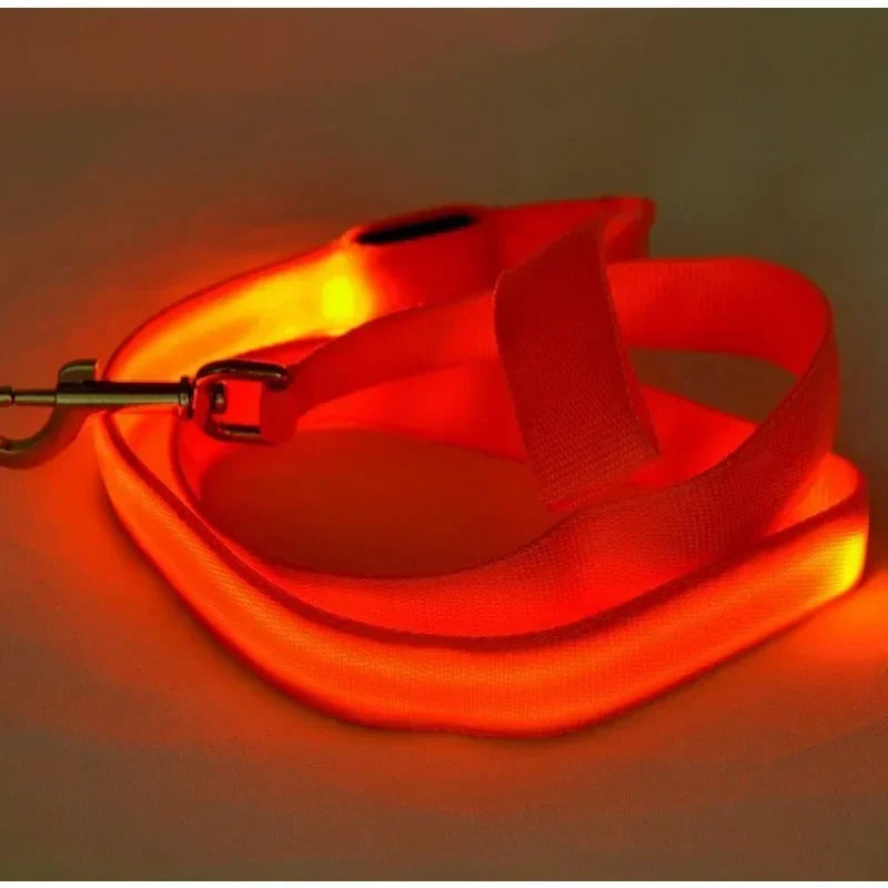 Flashing Leash Electronic Glowing Dog Light Dog LED Luminous Safety Up Accessories For Lead
