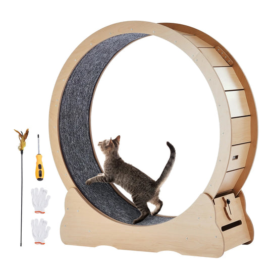 Wooden Cat Exercise Wheel for Indoor Cats of All Sizes