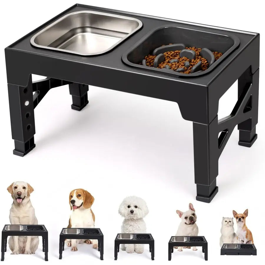 Raised Dog Bowls that Adjusts to 5 Heights