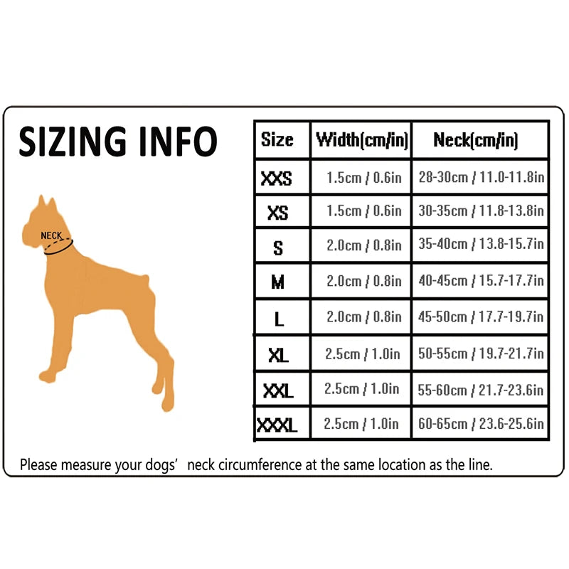 Winhyepet Dog Walking Collar Comfort Padded with Buckle