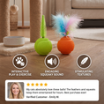 Load image into Gallery viewer, 2-Pack Interactive Cat Balls – Plush Feather Tail & Squeaky Sound
