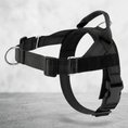 Load image into Gallery viewer, Personalized Reflective No-Pull Dog Harness with Custom Name Patch
