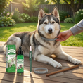 Load image into Gallery viewer, Natural Tick-Free Total Protection Kit for Dogs – The Ultimate Worry-Free Bundle
