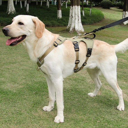 Reflective Anti-Pull Dog Harness – GripGuard Comfort
