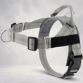 Load image into Gallery viewer, Personalized Reflective No-Pull Dog Harness with Custom Name Patch
