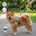 Load image into Gallery viewer, Personalized Reflective No-Pull Dog Harness with Custom Name Patch
