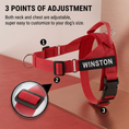 Load image into Gallery viewer, Personalized Reflective No-Pull Dog Harness with Custom Name Patch

