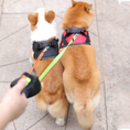 Load image into Gallery viewer, Tangle Free Dual Dog Leash
