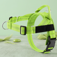 Load image into Gallery viewer, Personalized Reflective No-Pull Dog Harness with Custom Name Patch

