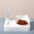 Load image into Gallery viewer, Dual-Purpose Tilted Pet Bowl
