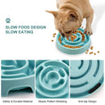 Load image into Gallery viewer, Slow Feed Pet Bowl
