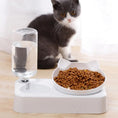 Load image into Gallery viewer, Dual-Purpose Tilted Pet Bowl

