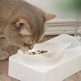 Load image into Gallery viewer, Dual-Purpose Tilted Pet Bowl
