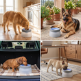 Load image into Gallery viewer, No-Spill Dog Water Bowl
