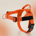 Load image into Gallery viewer, Personalized Reflective No-Pull Dog Harness with Custom Name Patch
