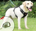 Load image into Gallery viewer, NoPull Dog Harness – WalkEase
