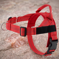 Load image into Gallery viewer, Personalized Reflective No-Pull Dog Harness with Custom Name Patch
