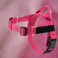 Load image into Gallery viewer, Personalized Reflective No-Pull Dog Harness with Custom Name Patch
